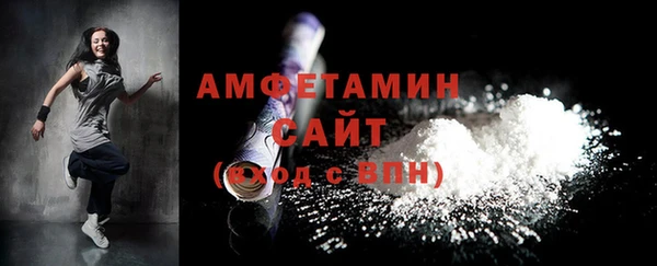 соль ск Инсар