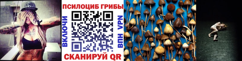 Псилоцибиновые грибы Cubensis  Ликино-Дулёво 
